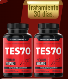 TES70