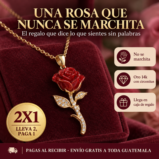 Collar con Rosa Eterna - portada 2x1